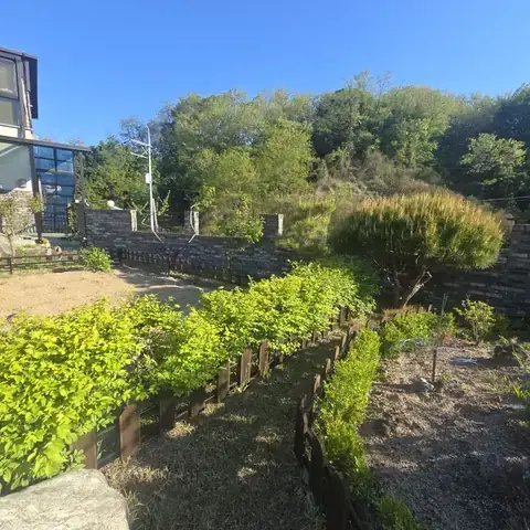가지치기 작업 경기 수원